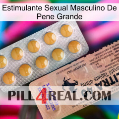 Big Penis Male Sexual Stimulant 41